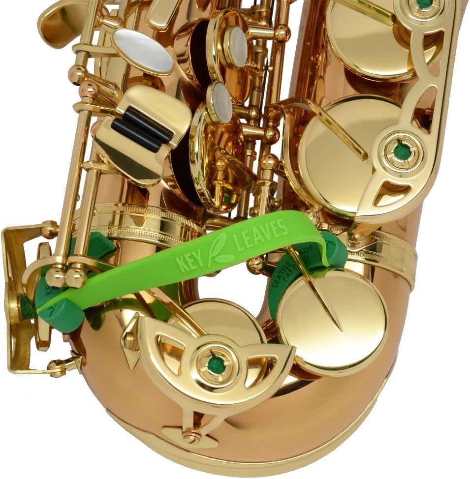 Phụ Kiện Saxophone – Bộ Công Cụ Thiết Yếu Cho Người Chơi Kèn