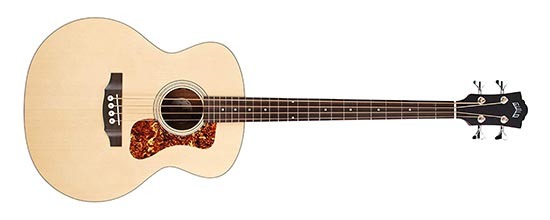 Tìm Hiểu Về 8 Loại Guitar Bass Phổ Biến Nhất