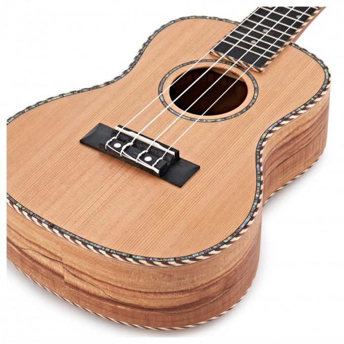Kiểm Tra & Setup Ukulele Khi Mua Online