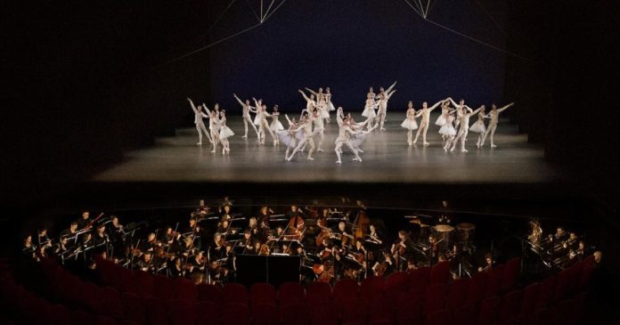 Ballet Music Và Opera Music Khác Nhau Ra Sao?