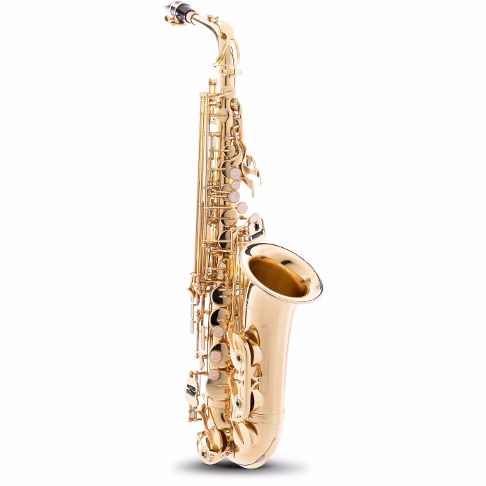 Kèn Saxophone Alto Có Phù Hợp Cho Trẻ Em Và Người Tay Nhỏ Không?