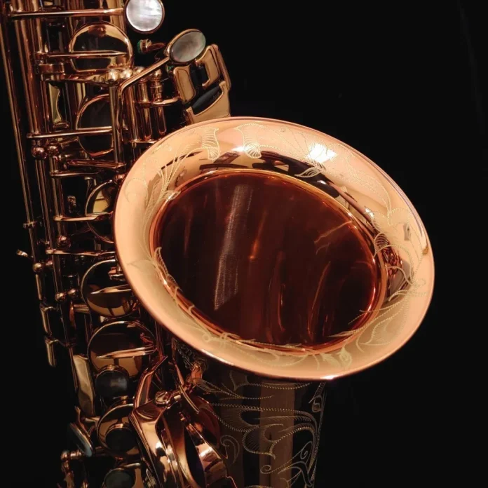 So Sánh Kèn Saxophone Alto Sinh Viên Và Kèn Alto Chuyên Nghiệp