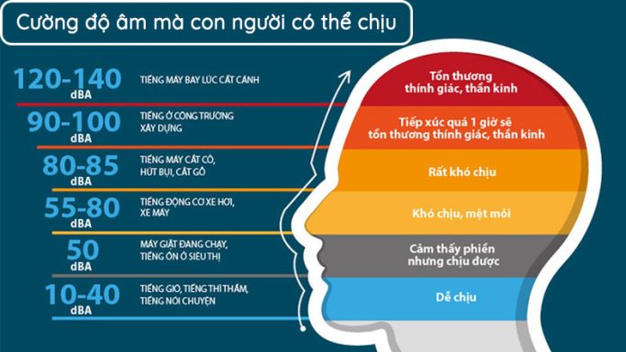 Cao Độ, Trường Độ, Cường Độ, Âm Sắc Là Gì? Những Yếu Tố Cơ Bản Tạo Nên Âm Nhạc