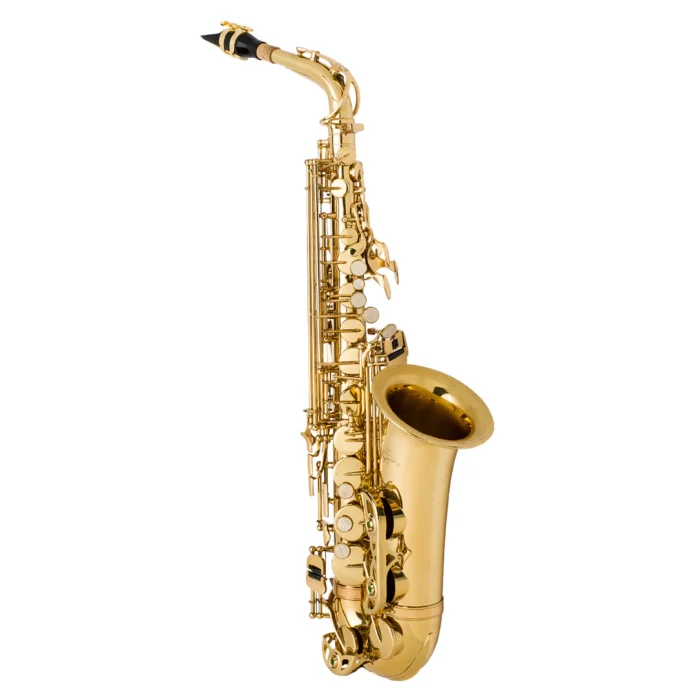 Top Kèn Saxophone Giá Tốt Nhất Cho Học Sinh – Sinh Viên: Chọn Sao Cho Đúng?