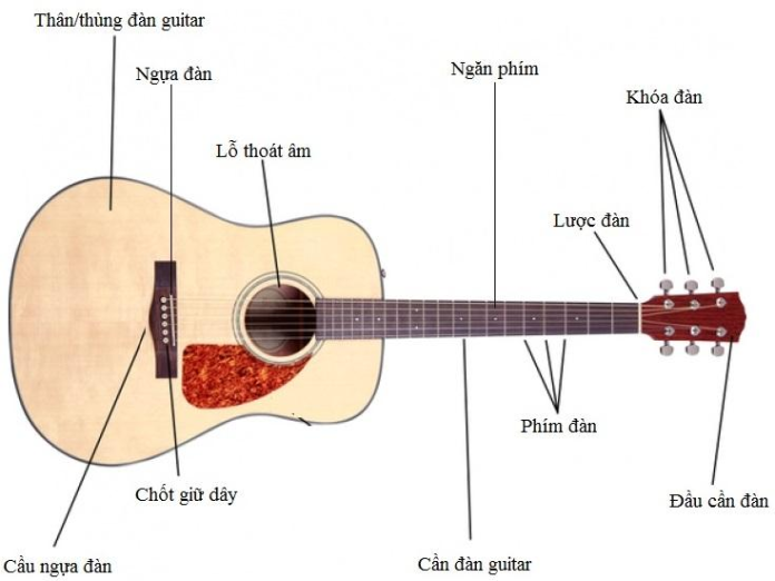 Cấu Trúc Đối Xứng Và Bất Đối Xứng Trong Nhạc Cụ