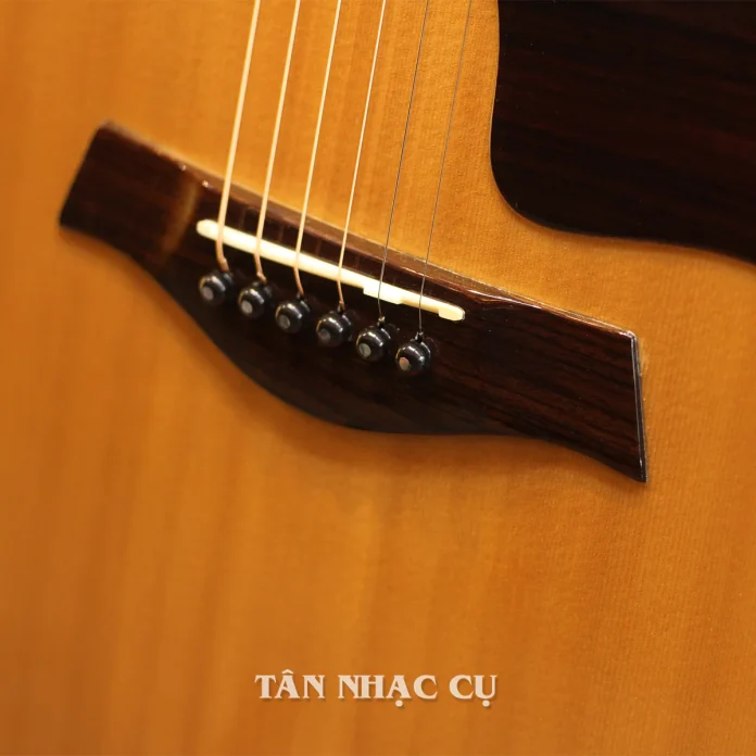 Đàn Guitar Ba Đờn T720 Có Phải Lựa Chọn Giá Tốt Cho Học Sinh – Sinh Viên?