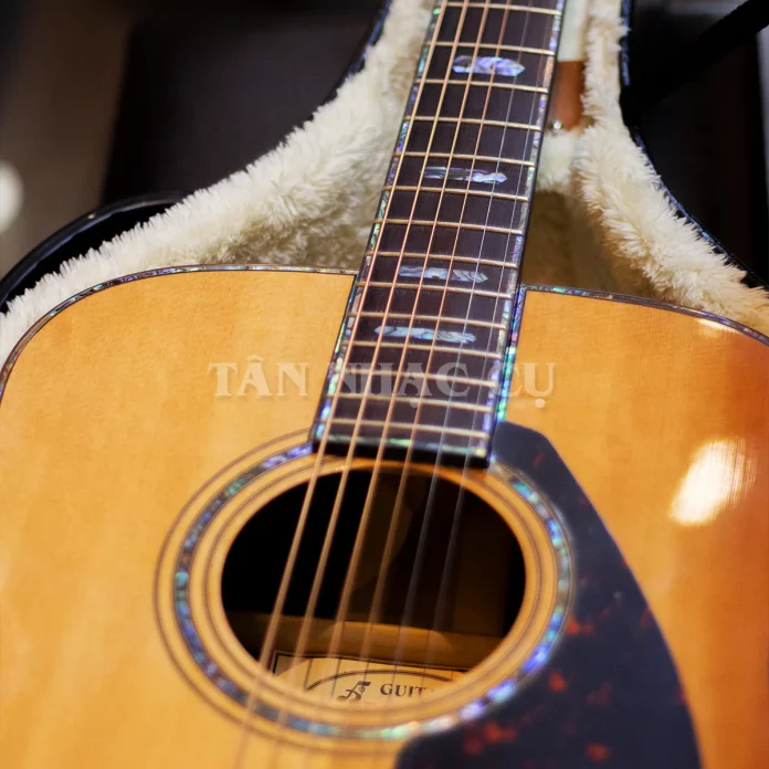 Nên Mua Guitar All Solid Ba Đờn D1500 Hay Guitar Nhật?