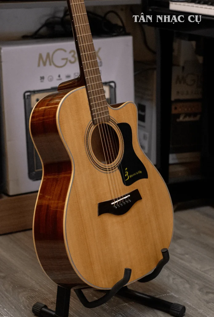 Mua Đàn Guitar Ba Đờn T220 Ở Đâu Uy Tín, Giá Tốt Nhất?