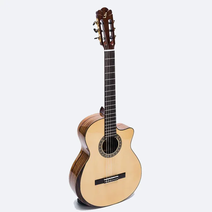 Đàn Guitar Ba Đờn C600J Giá Bao Nhiêu? Có Nên Mua Không?
